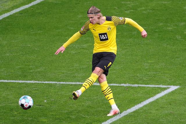 他们不仅有 他们不仅有