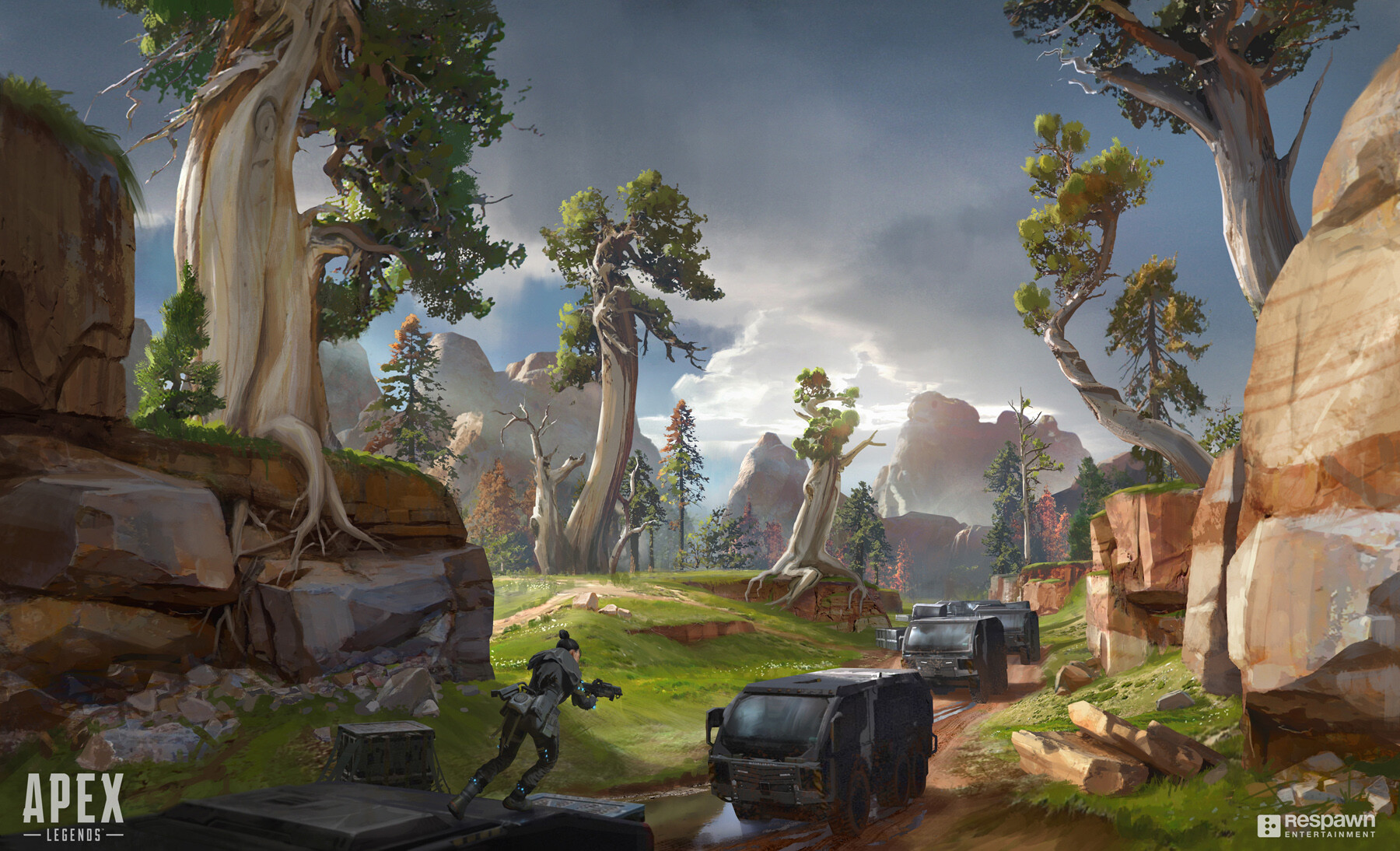 许多球迷纷 许多球迷纷